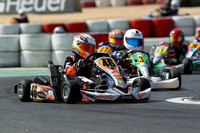 Rotax Max Championship Rnd 9 Dubai Kartdrome 2015