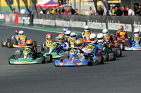 Dubai Kartdrome - Rotax Max Challenge & SWS Sprint Championship Jan 2014